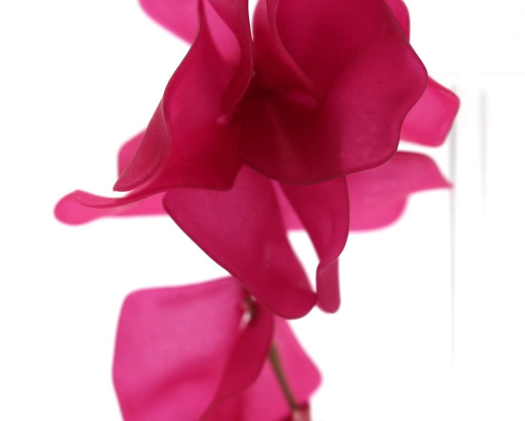 Pendientes Pétalos Rosa
